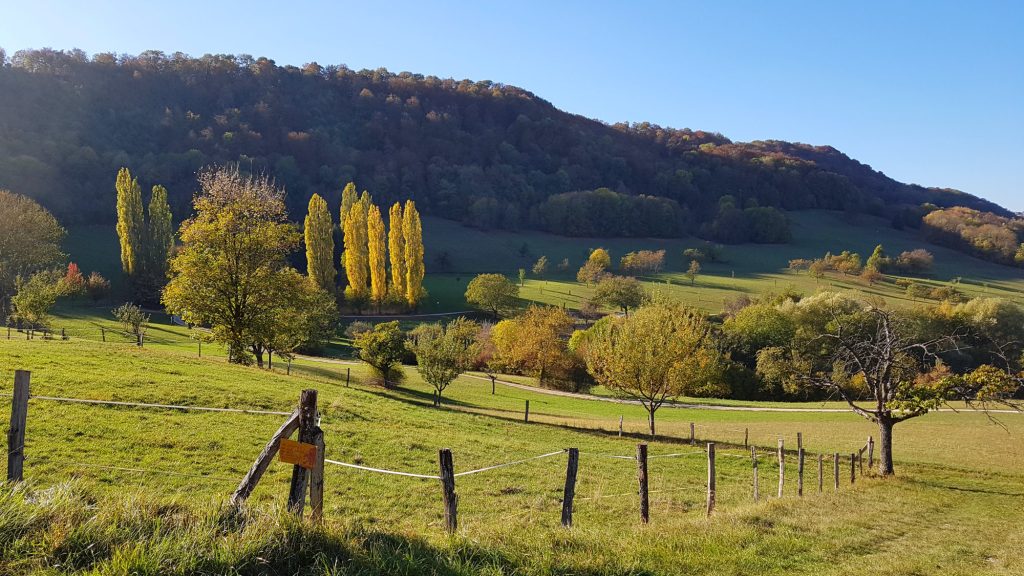 Wandern im Neuffener Tal